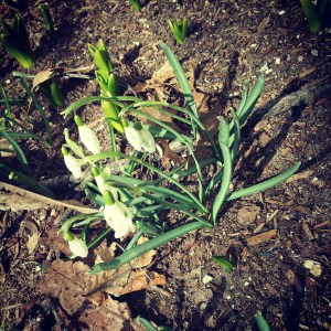 Saturday Socks, Hey Sadie Mae, social media,marketing, Salem MA