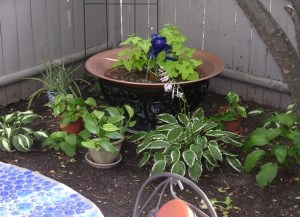 water feature, Salem, MA, urban, living, patio, Hey Sadie Mae, Saturday Sock, social media, real estate, agent, North Shore, Massachusetts