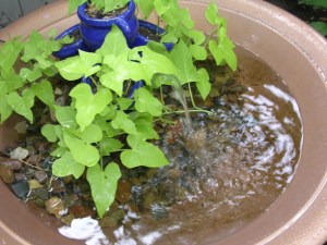 Sale, MA, Massachusetts, hey Sadie Mae, social media, real estate,